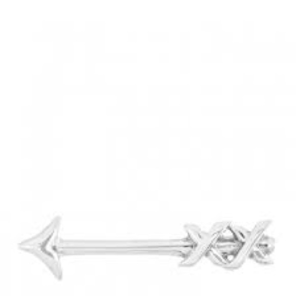Tiffany & Co. Silver Paloma Graffiti Arrow Earrings